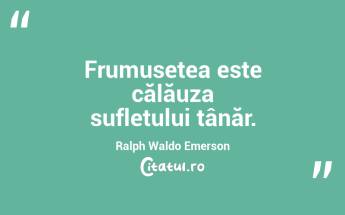 Frumusețea este călăuza sufletului tânăr. Ralph Waldo Emerson...