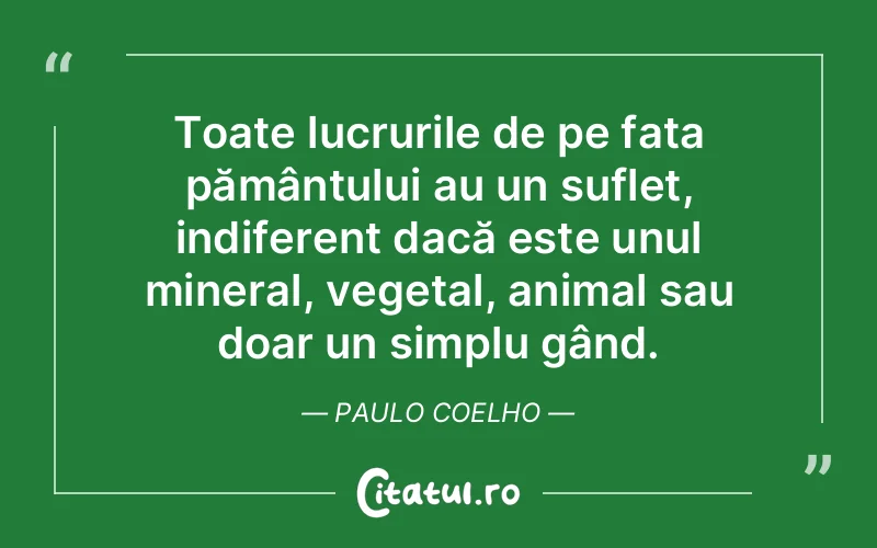Toate lucrurile de pe fața pământului au un suflet, indiferent dacă este unul mineral, vegetal, animal sau doar un simplu gând. Paulo Coelho