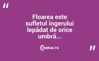 Floarea este sufletul îngerului lepădat de orice umbră... ...