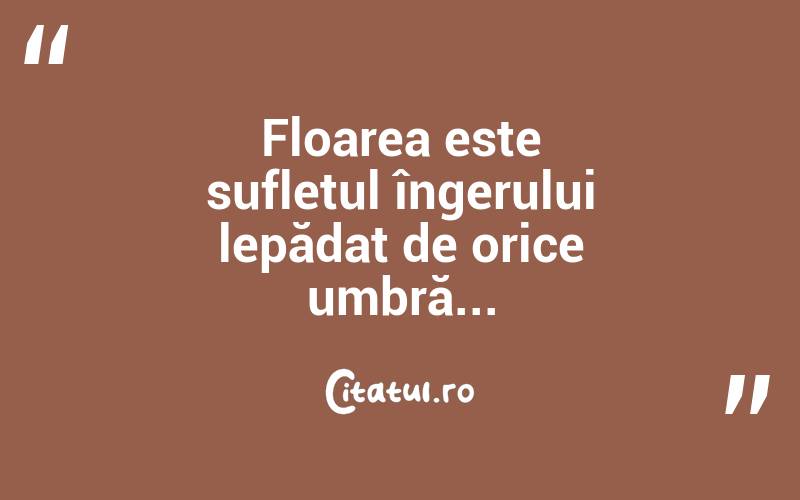 Floarea este sufletul îngerului lepădat de orice umbră... 
