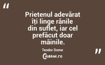 Prietenul adevărat îţi linge rănile din suflet, iar cel prefăcut doar mâinile. Teodor Dume...