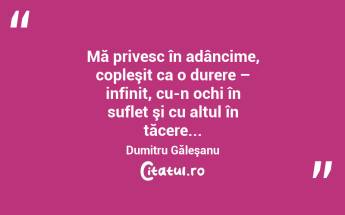  Mă privesc în adâncime, copleşit ca o durere – infinit, cu-n ochi în suflet şi cu altul în tăcere... Dumitru Găleşanu...