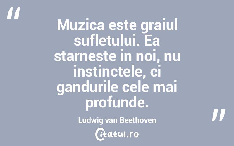 Muzica este graiul sufletului. Ea starneste in noi, nu instinctele, ci gandurile cele mai profunde. Ludwig van Beethoven
