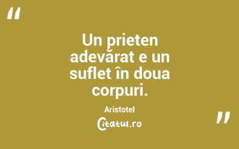 Un prieten adevărat e un suflet în doua corpuri. Aristotel...
