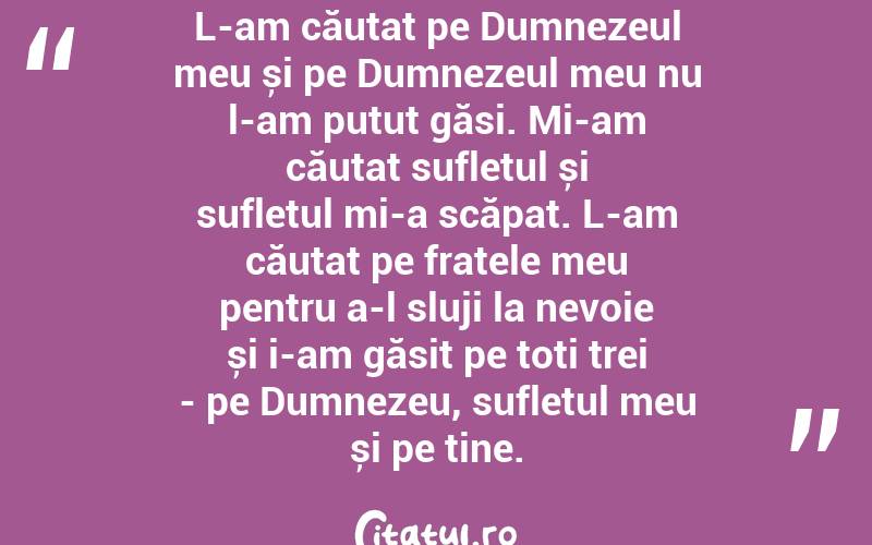 L-am căutat pe Dumnezeul meu și pe Dumnezeul meu nu l-am putut găsi. Mi-am căutat sufletul și sufletul mi-a scăpat. L-am căutat pe fratele meu pentru a-l sluji la nevoie și i-am găsit pe toți trei - pe Dumnezeu, sufletul meu și pe tine.
