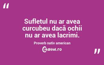 Sufletul nu ar avea curcubeu dacă ochii nu ar avea lacrimi.Proverb nativ american...