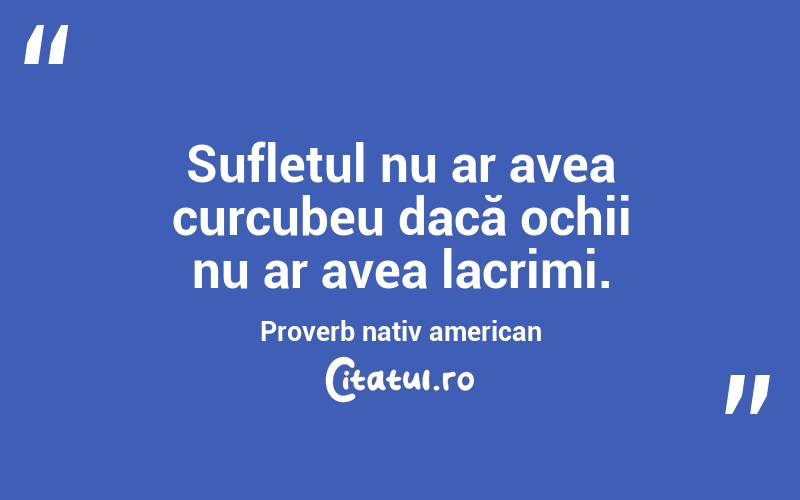 Sufletul nu ar avea curcubeu dacă ochii nu ar avea lacrimi.Proverb nativ american
