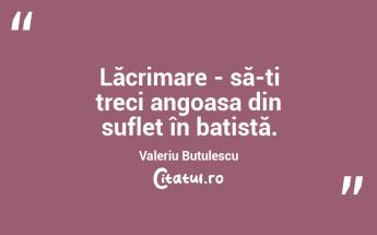 Lăcrimare - să-ți treci angoasa din suflet în batistă. Valeriu Butulescu...