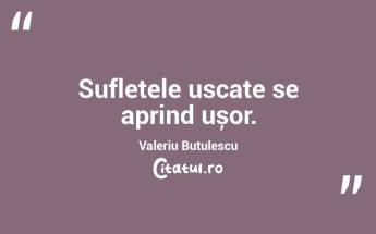 Sufletele uscate se aprind ușor. Valeriu Butulescu...