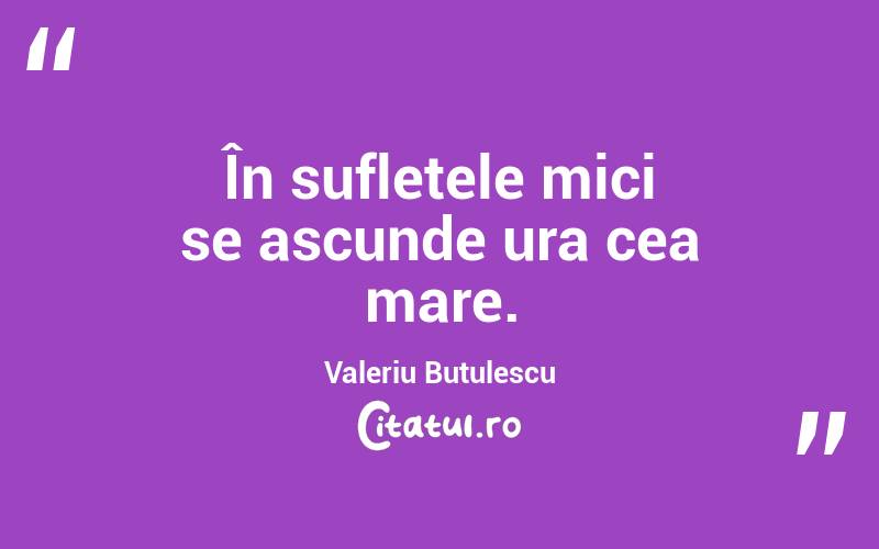 În sufletele mici se ascunde ura cea mare. Valeriu Butulescu
