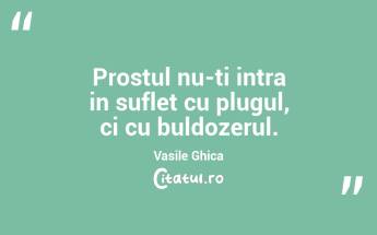 Prostul nu-ti intra in suflet cu plugul, ci cu buldozerul. Vasile Ghica...