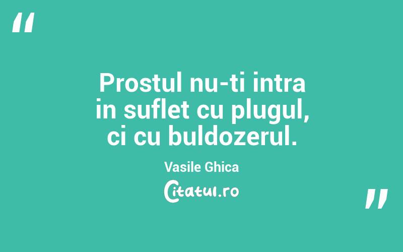 Prostul nu-ti intra in suflet cu plugul, ci cu buldozerul. Vasile Ghica
