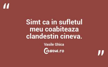 Simt ca in sufletul meu coabiteaza clandestin cineva. Vasile Ghica...