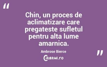  Chin, un proces de aclimatizare care pregateste sufletul pentru alta lume amarnica. Ambrose Bierce...