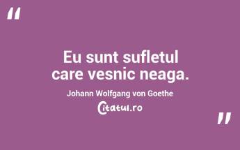  Eu sunt sufletul care vesnic neaga. Johann Wolfgang von Goethe...