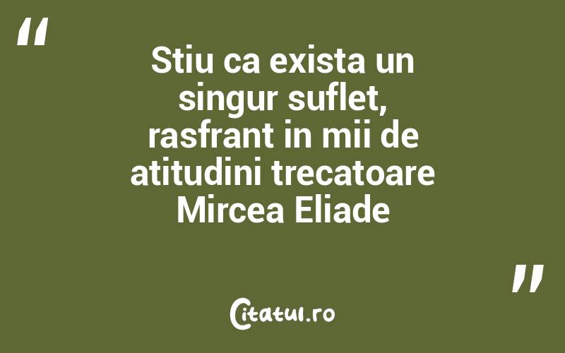 Stiu ca exista un singur suflet, rasfrant in mii de atitudini trecatoare Mircea Eliade

