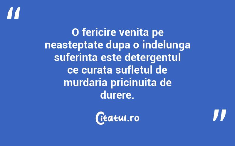 O fericire venita pe neasteptate dupa o indelunga suferinta este detergentul ce curata sufletul de murdaria pricinuita de durere. 
