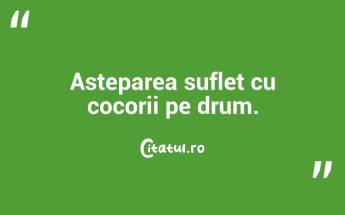 Asteparea suflet cu cocorii pe drum. ...