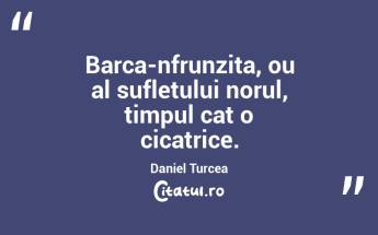 Barca-nfrunzita, ou al sufletului norul, timpul cat o cicatrice. Daniel Turcea...