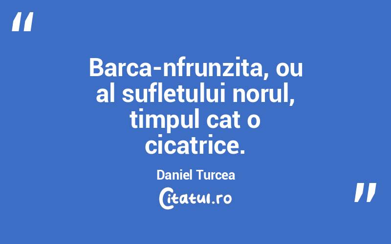 Barca-nfrunzita, ou al sufletului norul, timpul cat o cicatrice. Daniel Turcea
