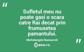 Sufletul meu nu poate gasi o scara catre Rai decat prin frumusetea pamantului. Michelangelo Buonarroti...