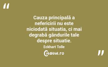 Cauza principală a nefericirii nu este niciodată situația, ci mai degrabă gândurile tale despre situație. Eckhart Tolle...