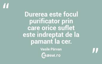 Durerea este focul purificator prin care orice suflet este indreptat de la pamant la cer. Vasile Pârvan...