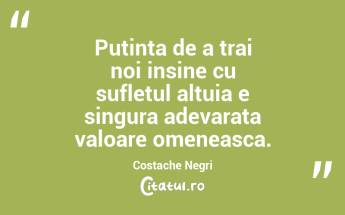 Putinta de a trai noi insine cu sufletul altuia e singura adevarata valoare omeneasca. Costache Negri...
