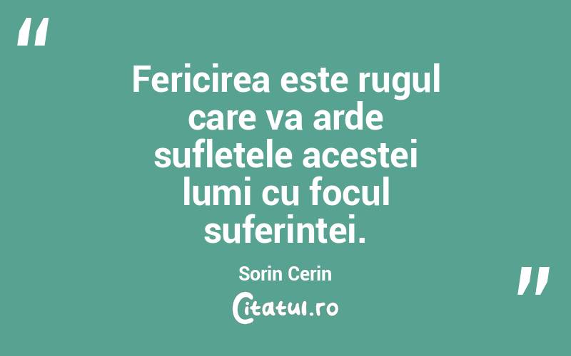 Fericirea este rugul care va arde sufletele acestei lumi cu focul suferintei. Sorin Cerin
