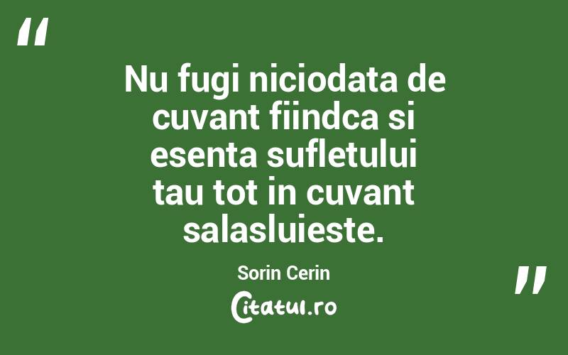 Nu fugi niciodata de cuvant fiindca si esenta sufletului tau tot in cuvant salasluieste. Sorin Cerin
