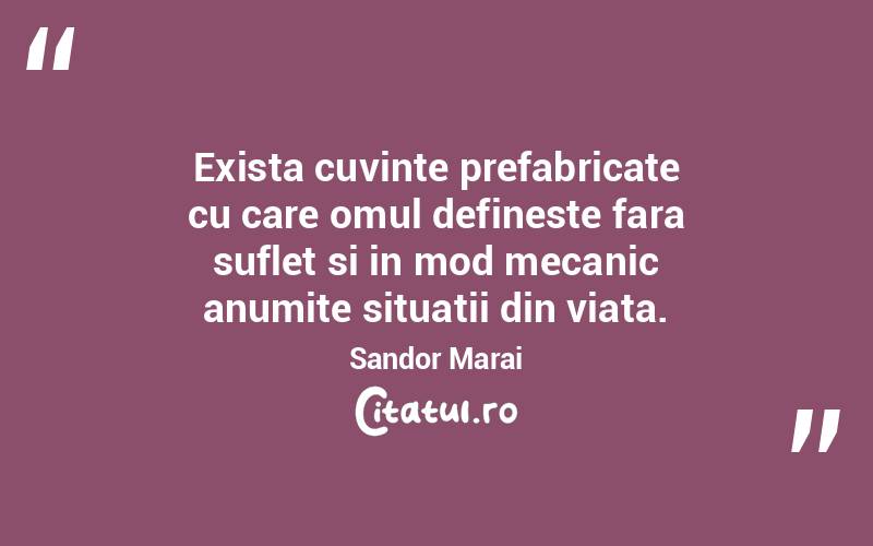 Exista cuvinte prefabricate cu care omul defineste fara suflet si in mod mecanic anumite situatii din viata. Sandor Marai
