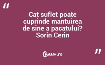 Cat suflet poate cuprinde mantuirea de sine a pacatului? Sorin Cerin...