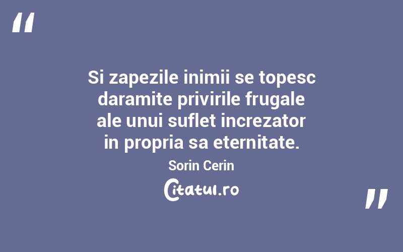 Si zapezile inimii se topesc daramite privirile frugale ale unui suflet increzator in propria sa eternitate. Sorin Cerin
