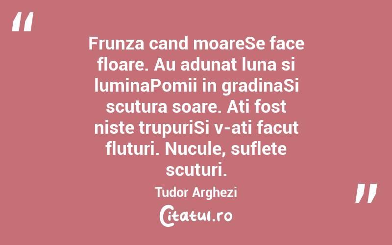  Frunza cand moareSe face floare. Au adunat luna si luminaPomii in gradinaSi scutura soare. Ati fost niste trupuriSi v-ati facut fluturi. Nucule, suflete scuturi. Tudor Arghezi

