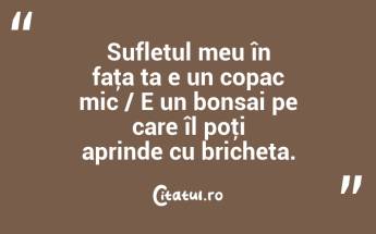 Sufletul meu în faţa ta e un copac mic / E un bonsai pe care îl poţi aprinde cu bricheta. ...