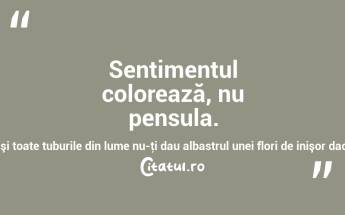    Sentimentul colorează, nu pensula. Poţi colora c-o bucăţică de cărbune, şi toate tuburile din lume nu-ţi dau albastrul unei flori de inişor dacă nu-l ai în suflet Nicolae Grigorescu...
