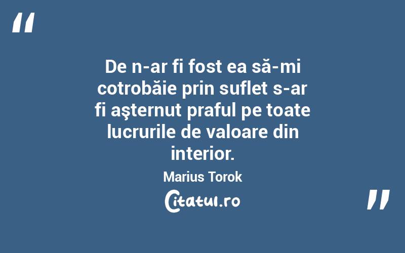 De n-ar fi fost ea să-mi cotrobăie prin suflet s-ar fi aşternut praful pe toate lucrurile de valoare din interior. Marius Torok

