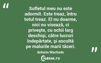 Sufletul meu nu este adormit. Este treaz, întru totul treaz. El nu doarme, nici nu visează, ci priveşte, cu ochii larg deschişi, către lucruri îndepărtate, şi ascultă pe malurile marii tăceri. Antonio Machado...