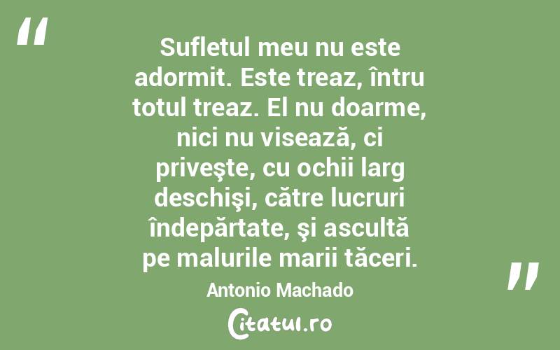 Sufletul meu nu este adormit. Este treaz, întru totul treaz. El nu doarme, nici nu visează, ci priveşte, cu ochii larg deschişi, către lucruri îndepărtate, şi ascultă pe malurile marii tăceri. Antonio Machado

