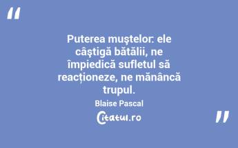   Puterea muştelor: ele câştigă bătălii, ne împiedică sufletul să reacţioneze, ne mănâncă trupul. Blaise Pascal...