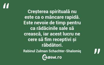 Creșterea spirituală nu este ca o mâncare rapidă. Este nevoie de timp pentru ca rădăcinile sale să crească, iar acest lucru ne cere să fim receptivi și răbdători. Rabinul Zalman Schachter-Shalomiq...