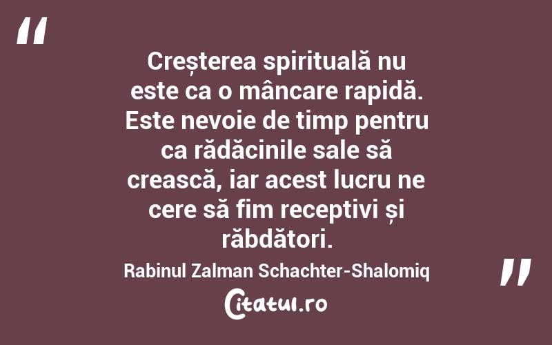 Creșterea spirituală nu este ca o mâncare rapidă. Este nevoie de timp pentru ca rădăcinile sale să crească, iar acest lucru ne cere să fim receptivi și răbdători. Rabinul Zalman Schachter-Shalomiq
