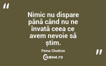 Nimic nu dispare până când nu ne învață ceea ce avem nevoie să știm. Pema Chodrun...