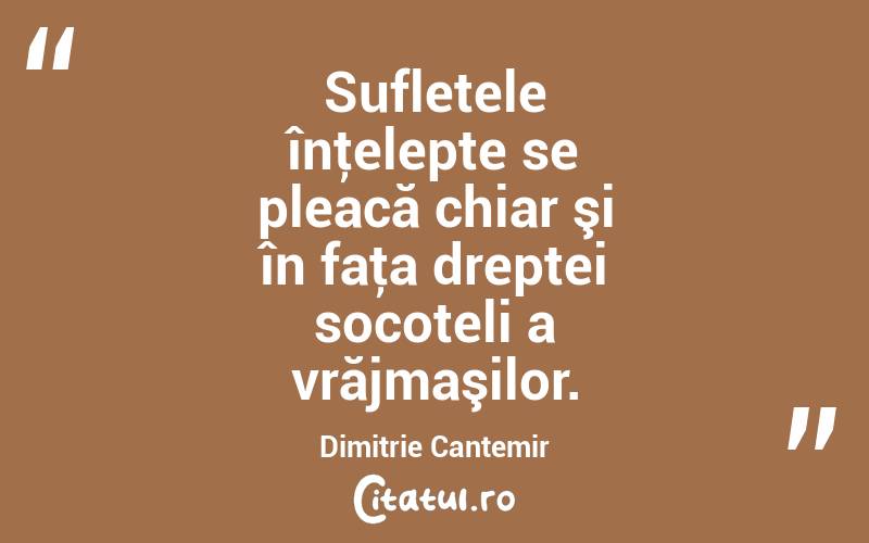 Sufletele înţelepte se pleacă chiar şi în faţa dreptei socoteli a vrăjmaşilor. Dimitrie Cantemir
