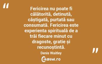 Fericirea nu poate fi călătorită, deținută, câștigată, purtată sau consumată. Fericirea este experiența spirituală de a trăi fiecare minut cu dragoste, grație și recunoștință. Denis Waitley...