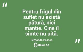 Pentru frigul din suflet nu există pătură, nici mantie. Cine îl simte nu uită. Fernando Pessoa...