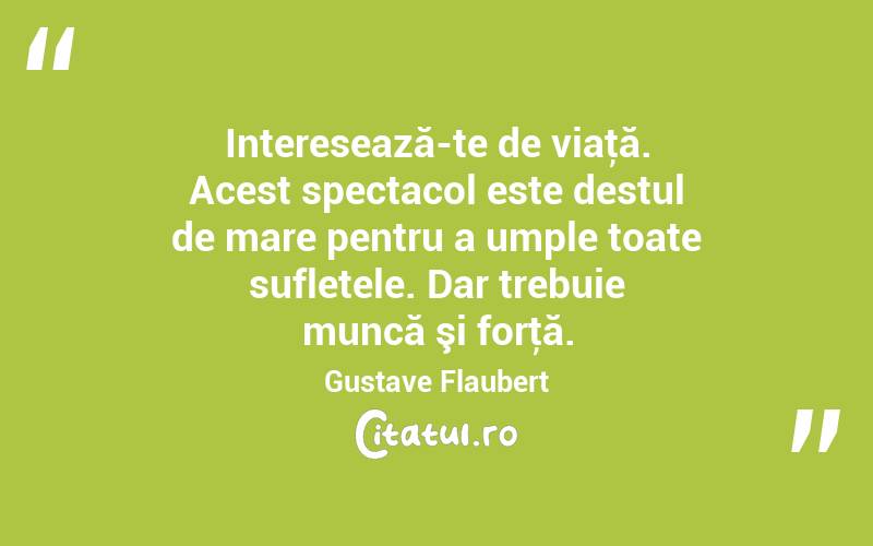 Interesează-te de viaţă. Acest spectacol este destul de mare pentru a umple toate sufletele. Dar trebuie muncă şi forţă. Gustave Flaubert
