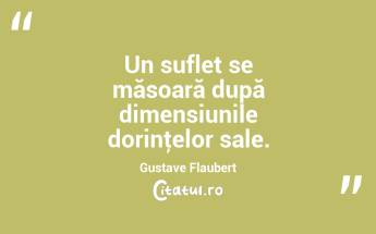  Un suflet se măsoară după dimensiunile dorinţelor sale. Gustave Flaubert...