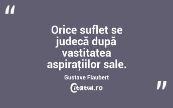 Orice suflet se judecă după vastitatea aspiraţiilor sale. Gustave Flaubert...
