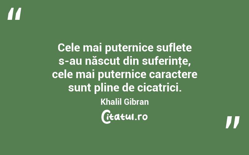 Cele mai puternice suflete s-au născut din suferinţe, cele mai puternice caractere sunt pline de cicatrici. Khalil Gibran
